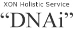 XON Holistic Service
